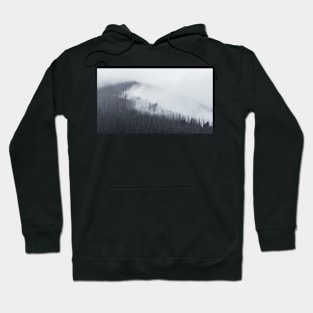 Yarra Ranges Mist Hoodie